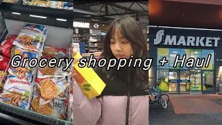 Grocery Shopping + Haul (living alone as a Highschool in Finland)