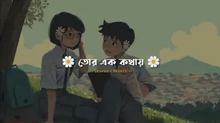 তোর এক কথায়। Tor Ek Kothay । Slowed and Reverb। Bengali Lofi Song। Music Blog