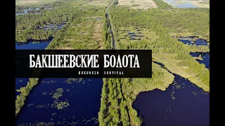 Выжить в Бакшеевских болотах. Смердячье озеро, Вьюница, Шушмор. КукуруЗо.