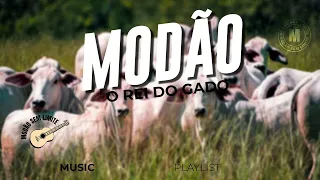 Playlist Modão Sertanejo Raiz Rei do Gado Modão Sem Limite - sertanejo raiz - só modão do bão