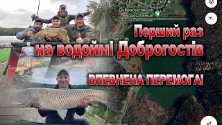 Коропові змагання в Карпатах  на водоймі Доброгостів, Впевнена перемога, секретна прикормка