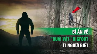 Bí ẩn về “quái vật” Bigfoot ít người biết| VTC14