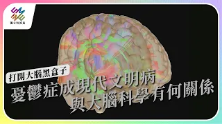 憂鬱症成現代文明病，與大腦科學有何關係｜打開大腦黑盒子｜公視 #獨立特派員 第798集 20230426