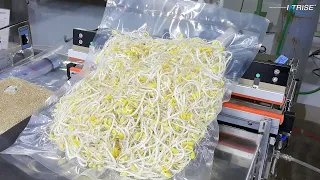 Bean Sprouts Packing AZA-600ES Angle Adjustable Vacuum Packaging Machine