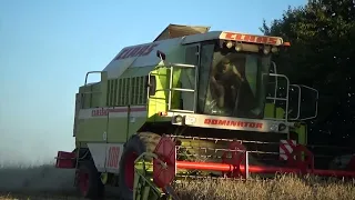 Żniwa 2023 🔥 Pszenica pod kosę! 🔥 Claas Dominator 108