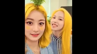 Mina & Jihyo Different Hair colours