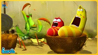 LARVA FULL EPISODE: MANTIS BOXER | LARVA 2045 | Cartoons | Comics | Mini cartoon Movie