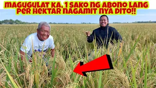 Grabeh, upto Harvest 1 Sako lang ng abono Ginamit nya per Hektar sa Palay?
