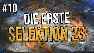 Inside teichjuwelen 10 - Endlich beginnt die Selektion - Sorry abruptes Ende, to be continued!!!