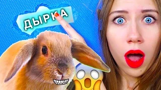 КРОЛИК СЪЕЛ КОВЕР ! ЧТО ТО ПОШЛО НЕ ТАК - КРОЛИК ПЕРЕЕЗЖАЕТ | Elli Di Pets