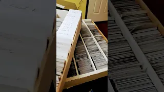 update on organizing my mtg collection.
