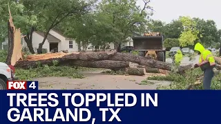 Garland storm damage: Homes damaged, trees knocked down