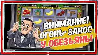 Смотри какой занос от Вулкан казино! Огонь! Слот Обезьянки обыгран!