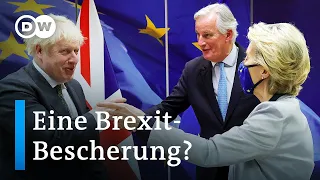 Brexit-Handelsabkommen: Win-Win für EU und Großbritannien? | DW Nachrichten