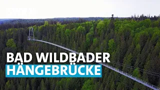 Die Wildline-Hängebrücke knacken | Zengleins Zehn