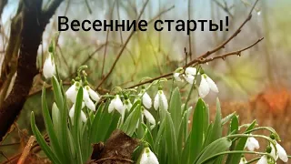 Весенние старты.