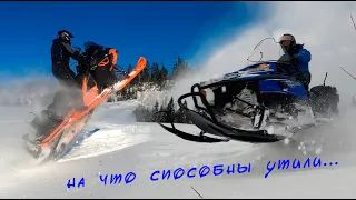 Веселая покатушка на снегоходах arctic cat bearcat, brp brutal, yamaha viking professional