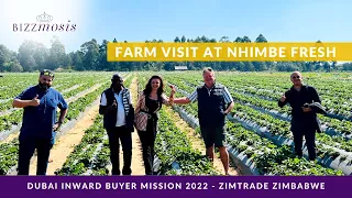 #FarmVisit at Nhimbe Fresh-#Zimbabwe #Africa