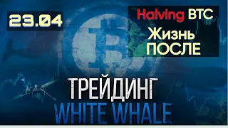 РЫНОК CRYPTO. КАКОЙ ОН, ПОСЛЕ ХАЛВИНГА? От А до Я. ПАДЕНИЕ ЗАКОНЧИЛОСЬ? КОГДА УЖЕ РОСТ Альткоинов?