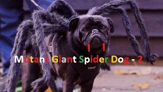 Mutant Giant Spider Dog - 2 (Ох и Прикол!)