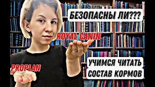 Обзор кормов для кошек, как выбрать корм? На что обратить внимание в первую очередь?