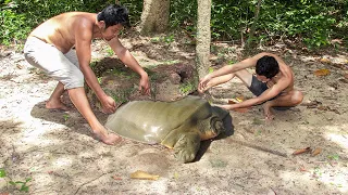 Wow! Catching Turtles in the forest & Cooking Turtles Eating So Delicious