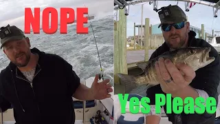 Inshore Fishing at Ponce Inlet/ New Smyrna, Sheepshead and Mangrove snapper, jetties were a no go!