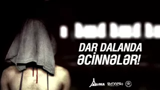 Xpert   Dar dalanda əcinnələr 2