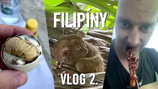 Filipíny - Bohol, Cebu, Luzon & Manila | Část 2. | Travel vlog | DJI Mini 3 Pro & GoPro 11