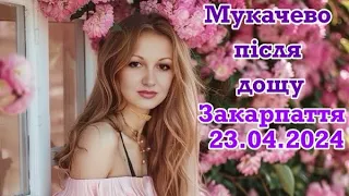 23.04.2024🥰МУКАЧЕВО ПІСЛЯ ДОЩУ💦ПРОГУЛЯНКА МІСТОМ🐾