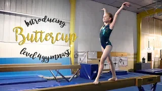 Meet 9 Year Level 4 Gymnast Buttercup| SGG