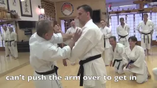 Taira bunkai Fundamentals