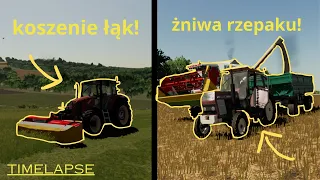 🔥Żniwa rzepaku! Koszenie łąk!🔥 [TIMELAPSE #1]