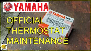 Official Yamaha Jetboat Manual Thermostat Maintenance Inspection Replace