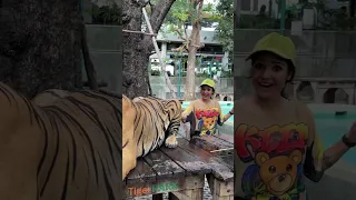 Tiger park thailand 🐅 #ytshorts #comedy #funny