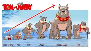 Tom And Jerry Growing Up Full | Fashion Wow