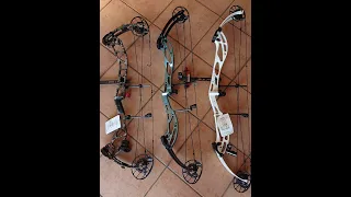 Which compound bow should I choose for 3D archery.