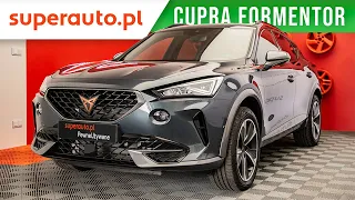 Cupra Formentor 1.5 TSI 2023 | OFERTA Superauto.pl