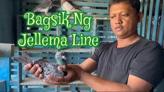 Bagsik Ng Jellema Line!