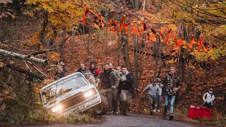 Best of Hungarian Rally 2020 (Crashes & Spins & Mistakes)