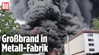 Nach Großbrand: Gift-Wolke über Berlin