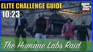 The Humane Labs Raid Elite Challenge Ultimate Guide