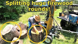 Splitting some huge firewood rounds! Tractor supply countyline log splitter #566