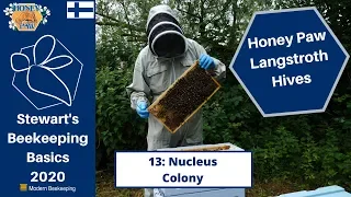 Honey Paw Series 13 - Nucleus Colony - Stewart Spinks at the Norfolk Honey Co.