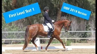 How to Ride First Level Test 1 (USDF 2019 version)