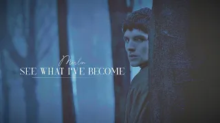 Merlin || See What I've Become