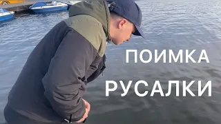 Русалка в озере