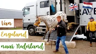 MIJN NIEUWE PAARD UIT ENGELAND KOMT AAN IN NEDERLAND! | felinehoi