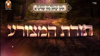 תורת המצורע - שיעור תורה מפי הרב יצחק כהן שליט"א / Rabbi Yitzchak Cohen Shlita Torah lesson