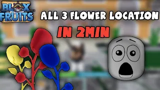 All Flower Location | Race v2 | Blox Fruit 2024